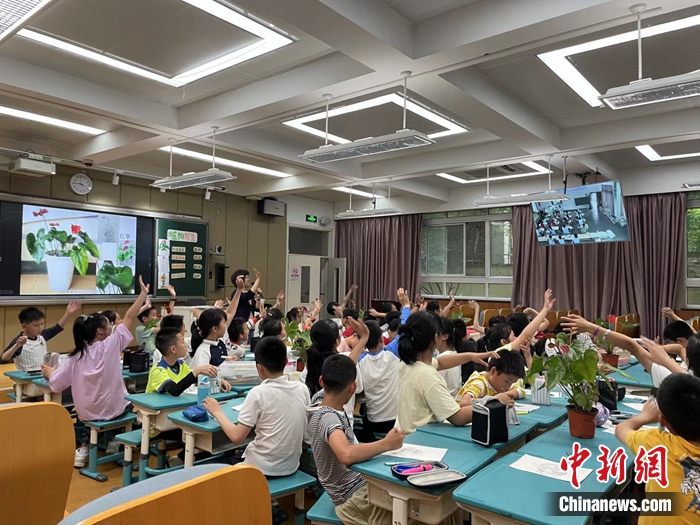 
杭州市星洲小学与杭州市淳安县枫树岭镇中心小学的同步课堂。杭州市星洲小学供图