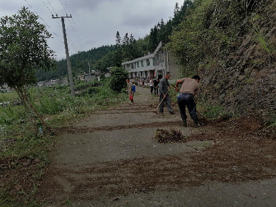 棋坪村：村民齐上阵，共建美丽乡村