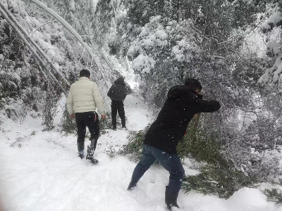 【“三比三争”践行动】排埠镇高陂村：迎雪而上，扫出群众出行的“平安路”